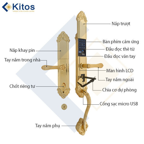 Khóa cửa vân tay tân cổ điển Kitos KT-C800