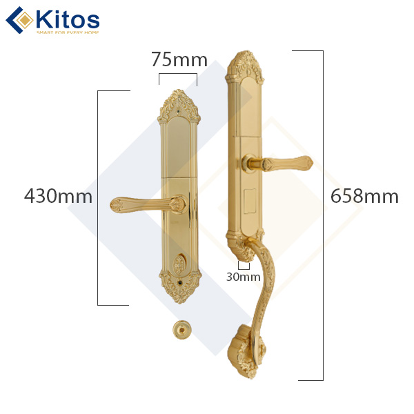 Khóa cửa vân tay tân cổ điển Kitos KT-C800 mạ vàng 24k